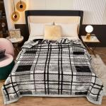 2-3KG Warm Soft Comfortable Korean Double Player Raschel Blanket with Warmth