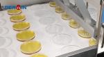 Petri Dish Filling Machine Fill 2000-3000 Dishes/hour Quick Format Change Within