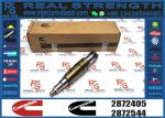 fuel injector 2872405 2894920 5579415