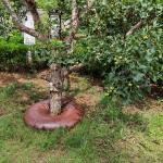 Garden/Farm/Forest Slow Release Tree Watering Ring Bag 15-20gallon UV Proof CE