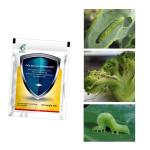 Agricultural Bio Onion Insecticide Natural Bug Repellent For Vegetable Plants 1%