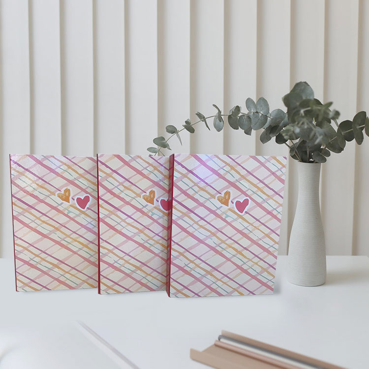 4 Holes BOX FILE Wholesaler Customized A4 Paper File Folder with Colourful Cover