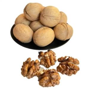 Wholesale Chinese Factory bulk sale high-quality Xinjiang big walnuts in shelled and dried fruits and nuts from china suppliers