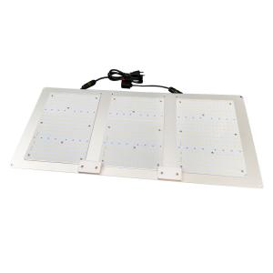 Wholesale Samsung Lm301b Horticulture Quantum Board from china suppliers