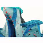 1740g Screw on Set Amusement Park Climbing Wall Kids Rock Climbing Holds for