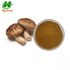 Wholesale Shiitake Mushroom Extract Lentinus Edodes Extract 10%-50% Polysaccharide Lentinan from china suppliers