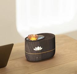 Wholesale Home Auto Shut Off Humidifier 350ml With Timing Automatic Outage Protection from china suppliers