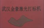 100w Glass Tube Galvo Laser Marking Machine , Large Size Laser Marking Equipment