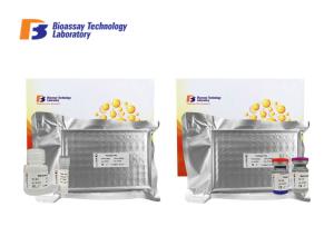Wholesale HMG-1 Human ELISA Kit High Mobility Group Protein 17 ELISA Assay Kit from china suppliers