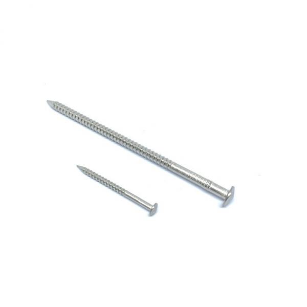 Quality Annular Ring Shank 304 Stainless Steel Nails For Underlayment With Rose Head for sale