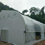 Customized Heating Equipment Blackout Film Greenhouse for Herb and Mushroom