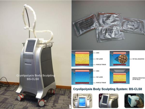 Fat Freeze Cryolipolysis Body Slimming Machine Fat Burning Equipment With