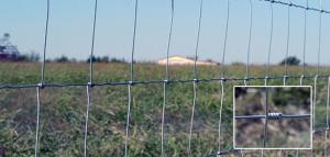 Wholesale KEYSTONE STEEL &amp; WIRE Monarch Deacero Steel field fence panels 3 ft. H x 50 ft. L from china suppliers