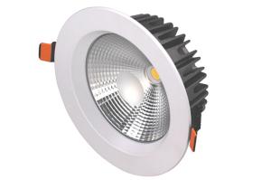 Wholesale 6 Inch Die Casting RA83 COB Led Down Light 22w CE ROHS Certificated from china suppliers