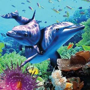 Wholesale PLASTIC LENTICULAR flip animal poster lenticular printing pictures with lenticular lens material from china suppliers