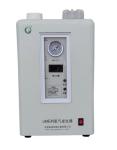 Powerful 220V Active Electrolysis Ionizer Rich Hydrogen Water Bottle for Pure H2