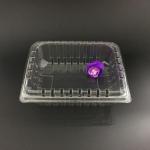 OEM/ODM Clamshell Package Plastic Packaging Boxes Food Grade