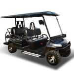 Chinese OEM 6 Searter LSV Golf Cart With High Performance For Hot Sale