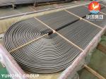 ASTM A213 (ASME SA213) TP304 Seamless Austenitic Alloy Steel U Bend Tube