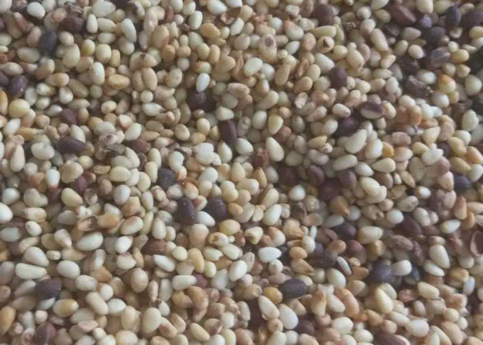 Agriculture Machine Pine Nut Kernel Color Sorter Nuts Sorting Machine