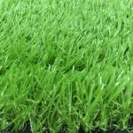 Patio Residential Commercial Natural Grass Mat 9000D Or Customized