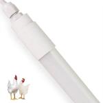 Poultry Shed LED Lighting Flicker Free, Triac Dimmable, 5 Years Warranty