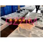 Car Accessories Toyota Hilux Revo 2016-2021 Front Bonnet Hood Guard With Lamp