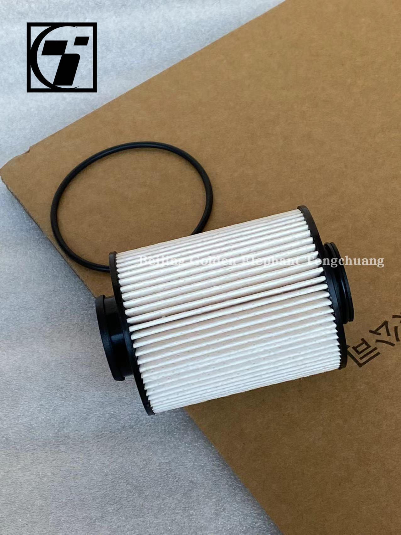 0.07kg Foton Aumark Fuel Filter P111000000245 for Martian Skin Condition Original