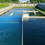 Effective Grease Wastewater Treatment in Dairy Processing Industry with