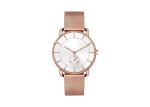 IP Plating Classic Alloy Case Watch Women Wristwatches Interchangeable Strap