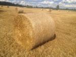 HDPE Well-Knitted White Bale Wrap Net