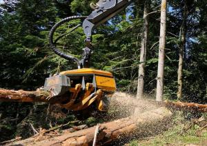 China Large Tree Harvesters Excavator Tree Cutter For Forest Farm on sale