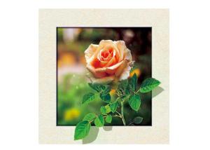 Wholesale Eco Friendly Plastice 3D Lenticular Printing Service Picture Nature Landscape from china suppliers