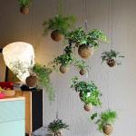Anti Aging Artificial Potted Plants Green Leaf Bar Music Restaurant Hanging