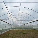 High Tunnel Multi Span Greenhouse Plastic PE Film For Strawberry