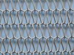 Stainless Steel Balanced Weave Conveyor Belt with Heat Resistant