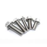 GB Standard Passivated Stainless Steel Hex Flange Bolt M4 M6 M8 M10 M12 Class 4