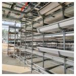 Durable & Labor-Saving: H-Type Fully Automatic Layer Cages for Modern Farms