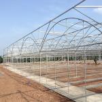 Multi Span Polyethylene Film Greenhouse Large Scale Wide Application