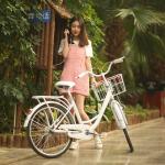 Customized City Bike Front Clamp Brake And Back Clasp Brake With Basket