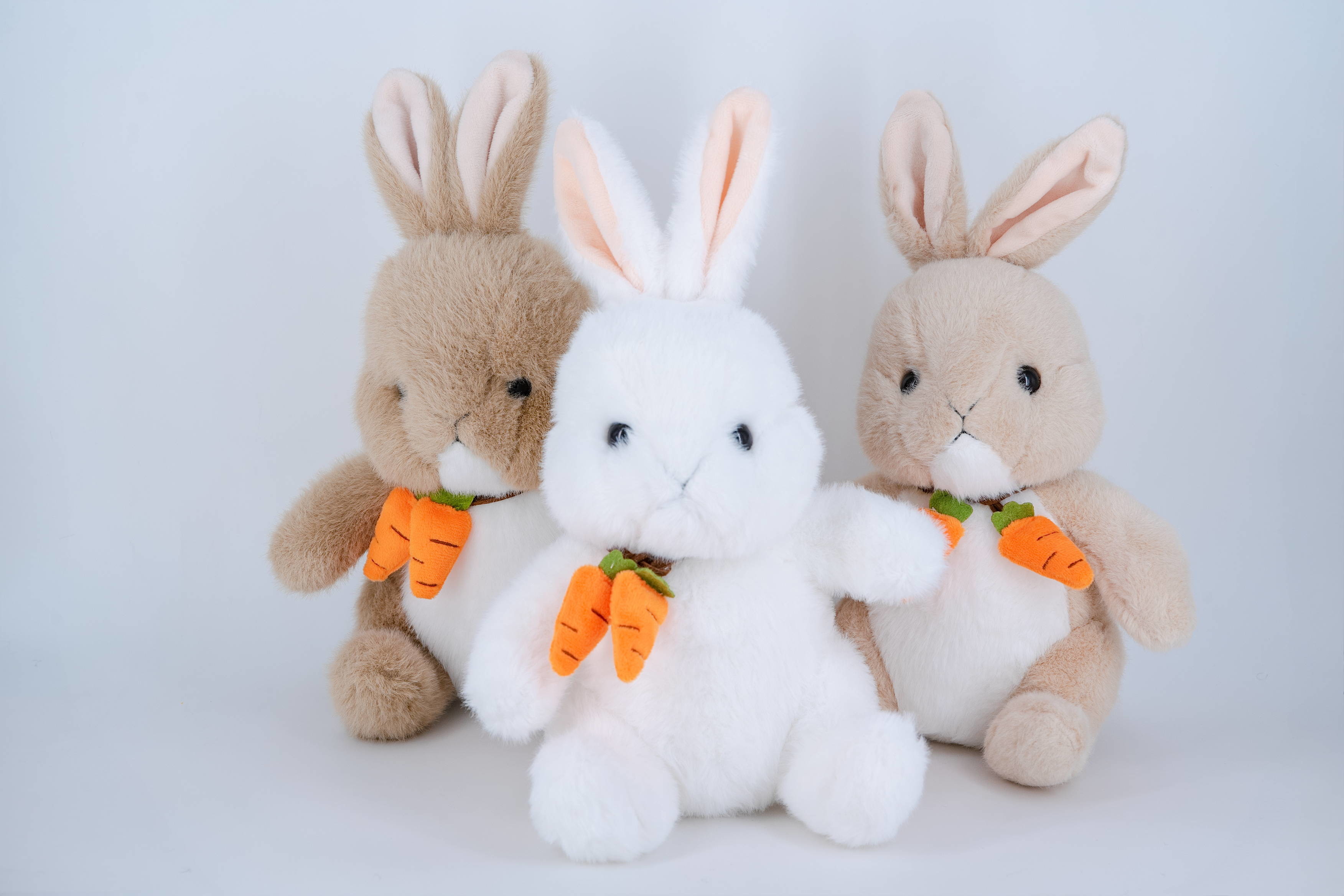 OEM Custom Design Made Mascot Dolls Carrot Rabbit Holding Cute Plush Toy