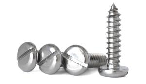 Wholesale Stainless Steel Slotted Drive Pan Head Tapping Screws Slotted Drive Rounded Head Pointed Screws from china suppliers