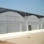 LiTai Greenhouse Multi-Span Film Agriculture Greenhouse with Steel Frame