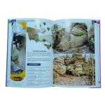 Rocktown Bouldering | Rock Climbing Book Printing CMYK Offset Printing with