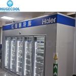 U Type Double Glazing Glass Door Display Cold Room for Food Storage Solution