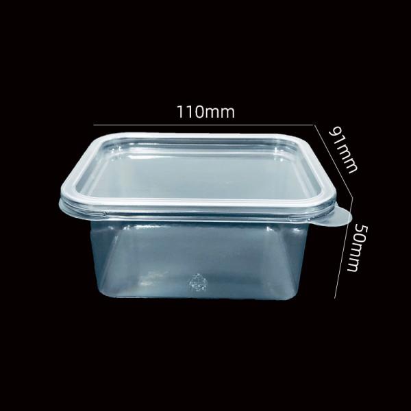 Custom PET Plastic Blister Packaging Tray with Lid