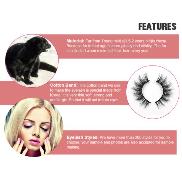 25mm 28mm Magnetic Eyelashes Waterproof False Lashes For Round Eyes