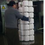 Spun Polyester sewing Thread 30/3 TFO quality OEKO certificate any color