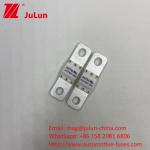 A121601-250A A121601-200A ASTM Copper Automotive Blade Fuse For High Current EV