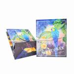 ISO Custom Printed Paper Gift Bags Bulk Order CMYK / Pantone Color